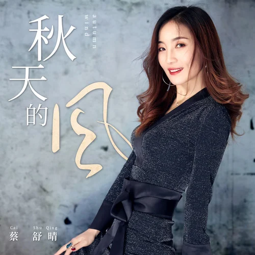 秋天的風(fēng)(DJ阿遠(yuǎn)版)-蔡舒晴