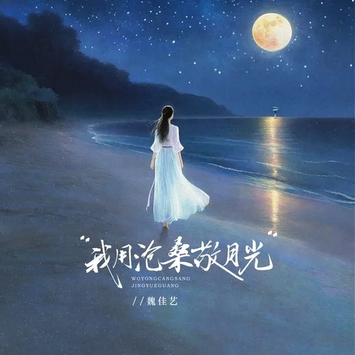 我用滄桑敬月光 (伴奏)-魏佳藝