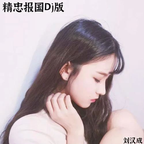 精忠報(bào)國 (Dj版)-劉漢成