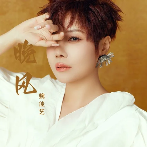 晚風(fēng) (魏佳藝版)-魏佳藝