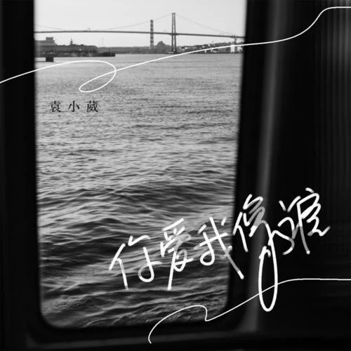 你爱我像谁(烟嗓女声版)-袁小葳