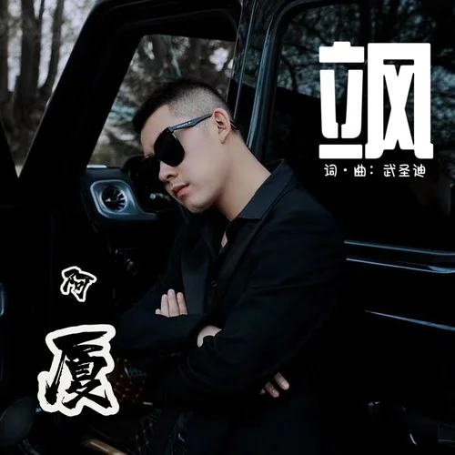 颯(DJ默涵版)-阿廈