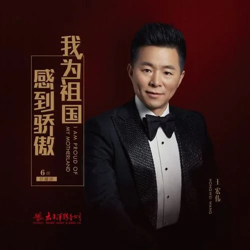 我為祖國感到驕傲-王宏偉