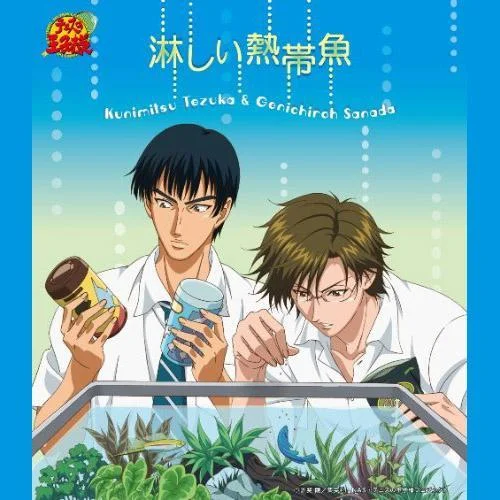 淋しい熱帯魚-手塚國光&真田弦一郎