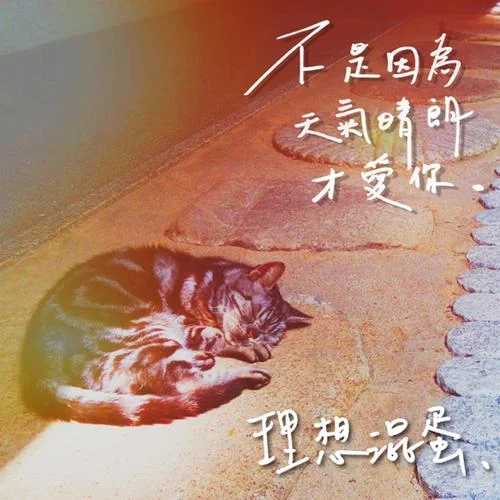 不是因為天氣晴朗才愛你-理想混蛋