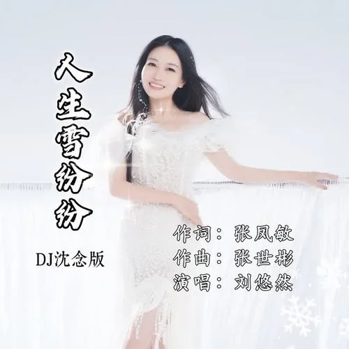 人生雪紛紛（DJ沈念版）-劉悠然