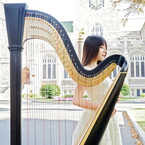 權(quán)力的游戲主題曲-豎琴小杏仁