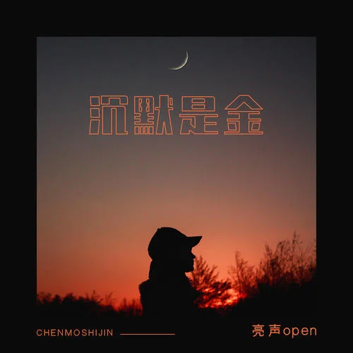 沉默是金(DJ女聲版)-亮聲open