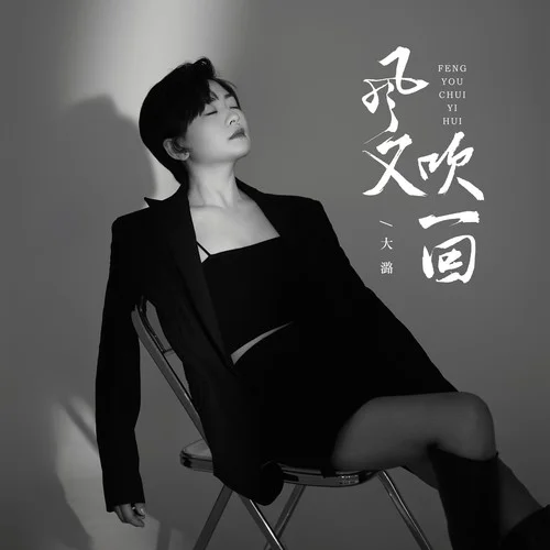 風(fēng)又吹一回（DJ阿尼版） (伴奏)-大潞