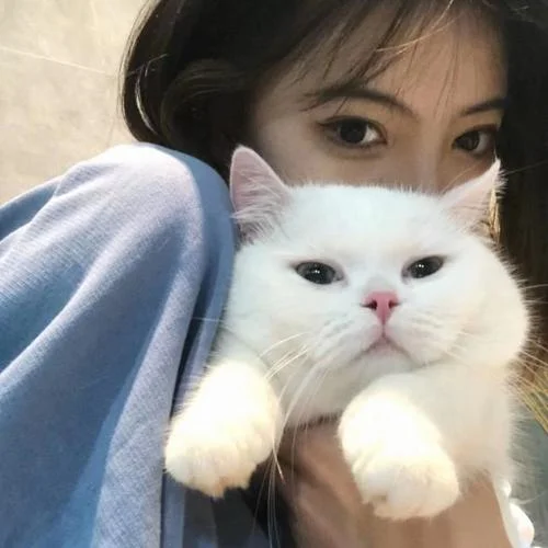 干嘛聽苦情歌以為多浪漫(全網(wǎng)熱搜)-鶴楠