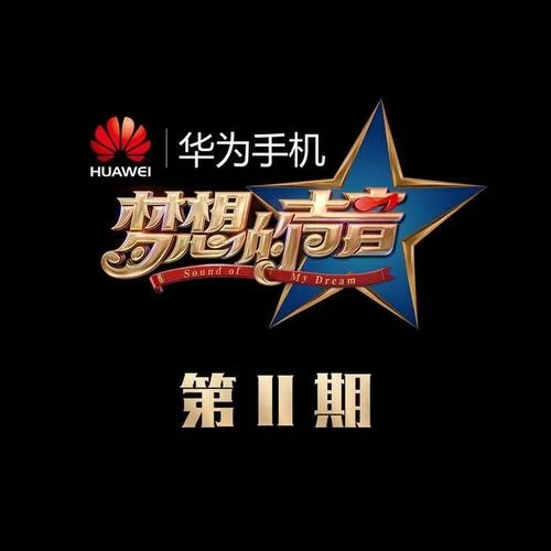 我對(duì)自己開了一槍(Live)-金帥