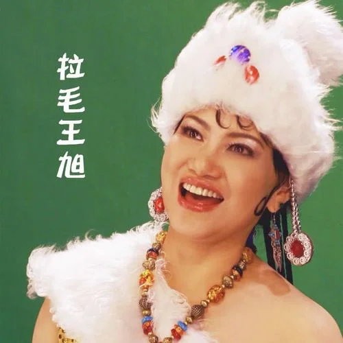 卓瑪(伴奏)-拉毛王旭