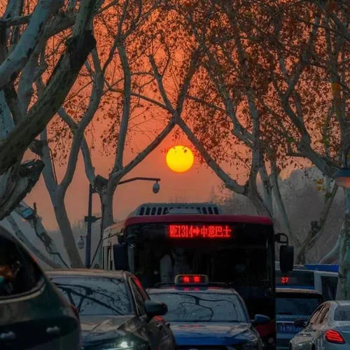 香水有毒(DJ沈念版)-西柚to