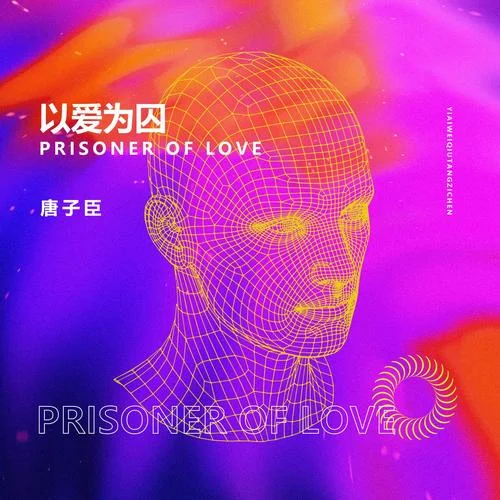 以愛為囚(抖音完整版)-唐子臣