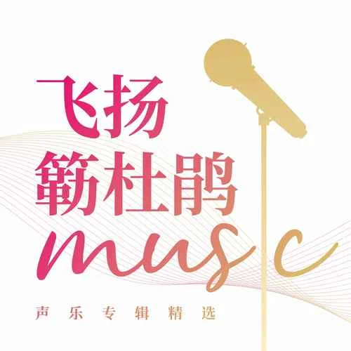 如愿(伴奏)-张诗沂