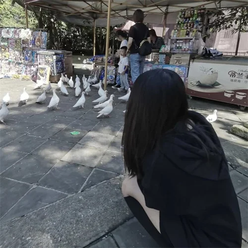 车载重低音 (DJ版)-车载音乐汇