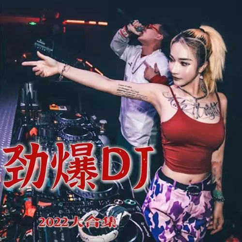 朋友陪你醉 (DJ沐子希版)-影視大全