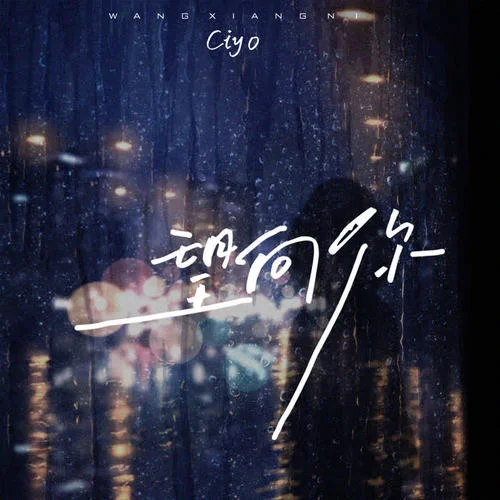 望向你-Ciyo