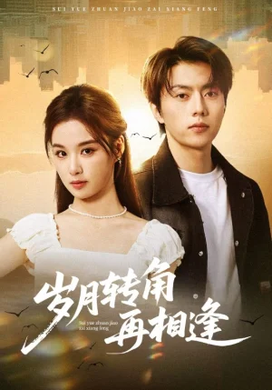 歲月轉(zhuǎn)角再相逢（80集）張磊&王宇婧