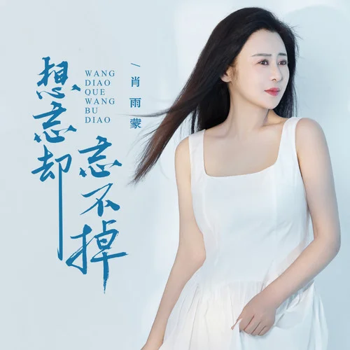 想忘卻忘不掉-肖雨蒙