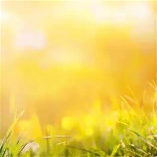 Neon Blade (TikTok)-CruFly