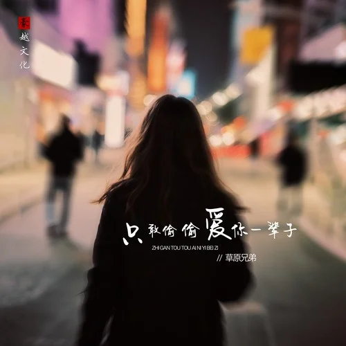 只敢偷偷愛你一輩子(DJEva版)-草原兄弟