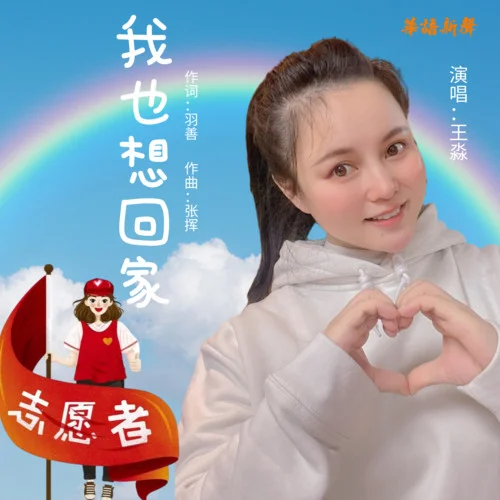 我也想回家-王淼