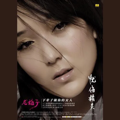 下辈子做你的女人-龙梅子