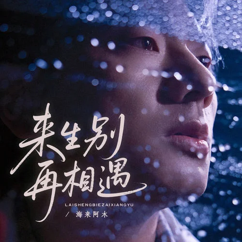 来生别再相遇-海来阿木