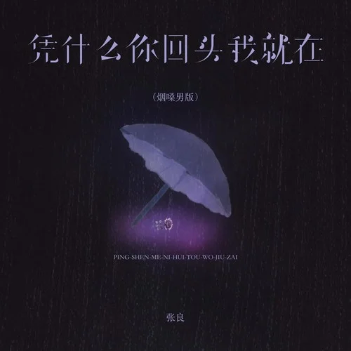 憑什么你回頭我就在 (煙嗓男版)-張良
