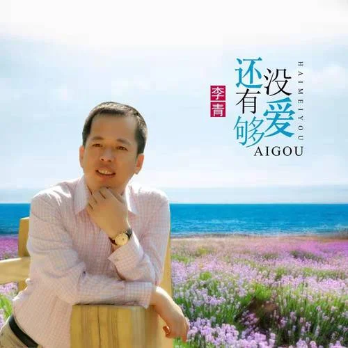 还没有爱够(DJ默涵版)-李青