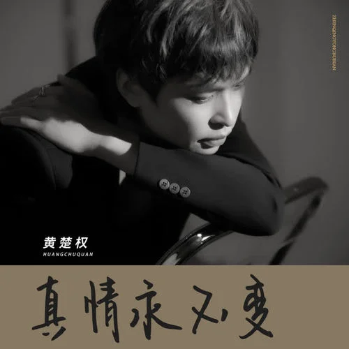 真情永不變(國(guó)語(yǔ)版)-黃楚權(quán)