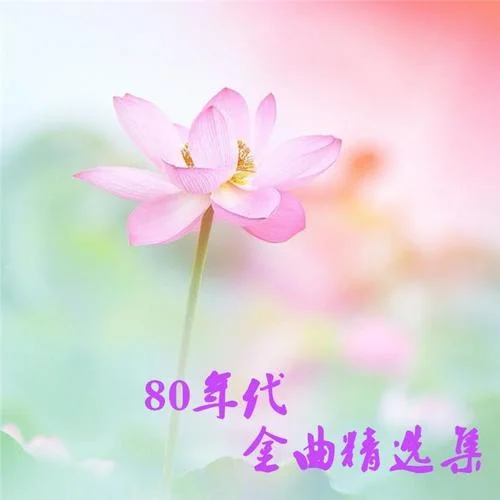 《I?Will?Always?Love?You》~ Whitney?Houston-有聲的木林