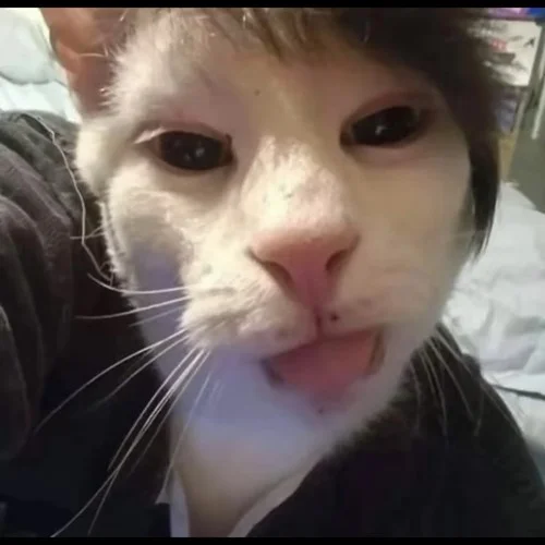 印度哈基米-華仔