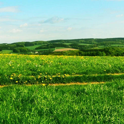 昨夜星辰(DJ版)-憶琳