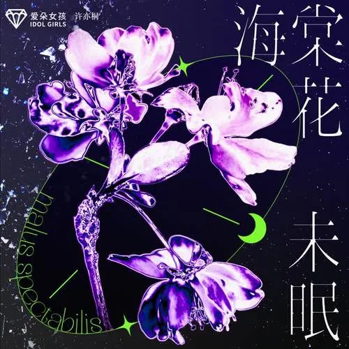 海棠花未眠-愛朵女孩&許亦桐