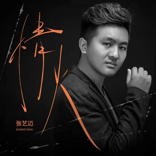 情火 (DJ九零版)-張藝邁