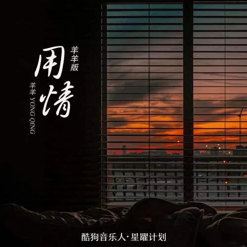 用情(DJ版)-羊羊