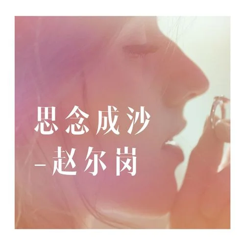 吹夢到西洲(DJ版)-趙爾崗