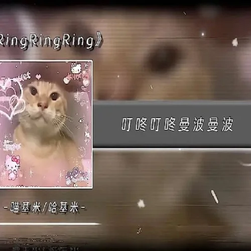 ringringring-哈基制作人