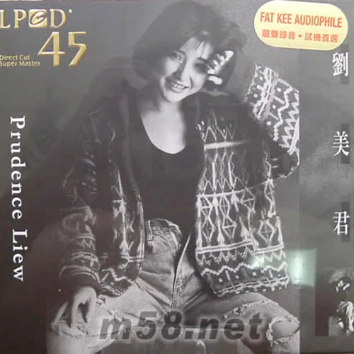 最后一夜-劉美君