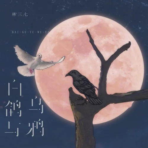 白鴿與烏鴉-林三七