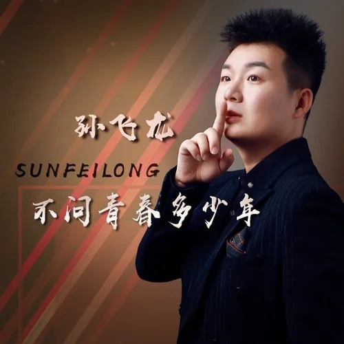 不問青春多少年（DJ默涵版）-孫飛龍