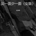 見一面少一面（女版）-莊菲菲