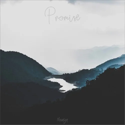 Promise-Nomyn