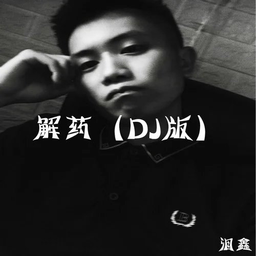 年轮 (DJ版)-泪鑫
