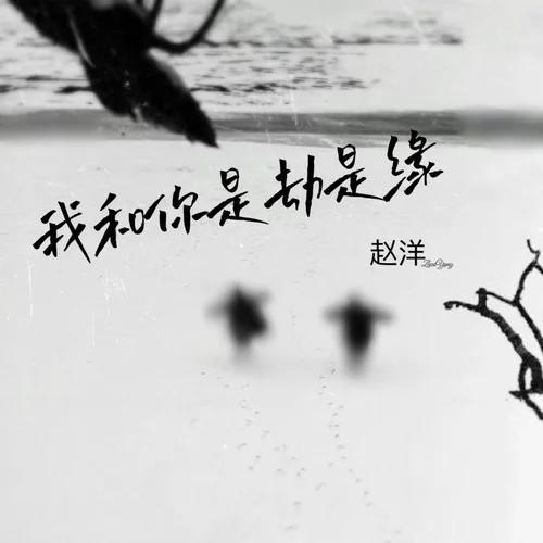 我和你是劫是緣-趙洋