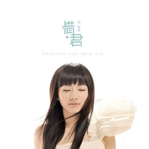 我只在乎你-刘惜君