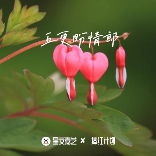 花兒直令(王秀版)-青海花兒