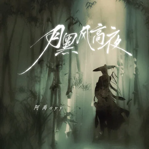 月黑風(fēng)高夜-阿禹ayy